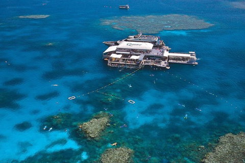 Quicksilver Outer Great Barrier Reef Snorkel Cruise From Palm Cove - Kingaroy Accommodation 1