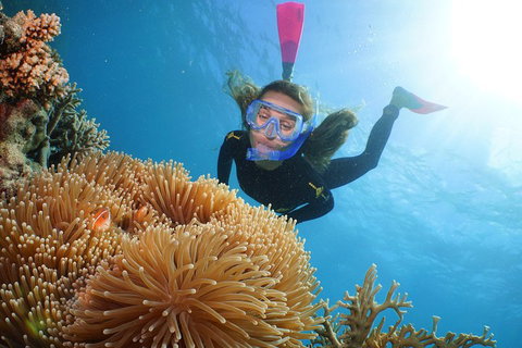 Quicksilver Outer Great Barrier Reef Snorkel Cruise From Palm Cove - Kingaroy Accommodation 2