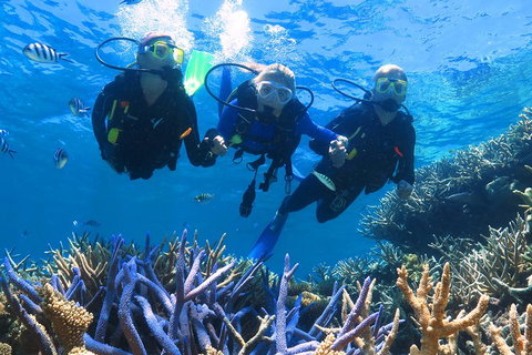 Quicksilver Outer Great Barrier Reef Snorkel Cruise From Palm Cove - Kingaroy Accommodation 3