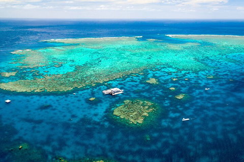 Quicksilver Outer Great Barrier Reef Snorkel Cruise From Palm Cove - Kingaroy Accommodation 4