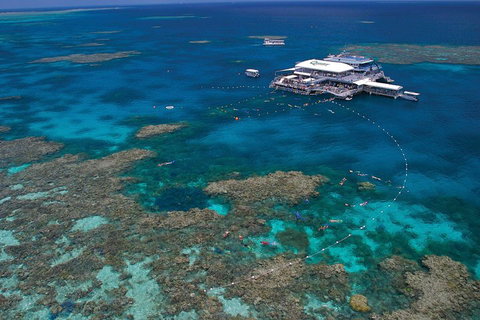 Quicksilver Outer Great Barrier Reef Snorkel Cruise From Port Douglas - Kingaroy Accommodation 3