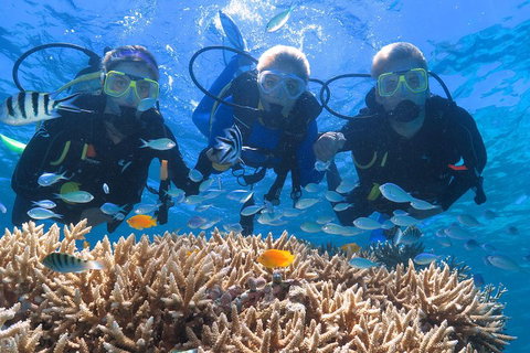 Quicksilver Outer Great Barrier Reef Snorkel Cruise From Port Douglas - Kingaroy Accommodation 4