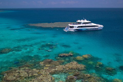 Silversonic Outer Great Barrier Reef Dive And Snorkel Cruise From Port Douglas - Kingaroy Accommodation 2