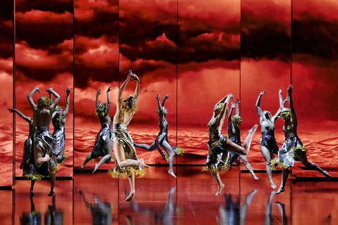 Opera Performance At The Sydney Opera House - Kingaroy Accommodation 5