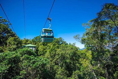Skyrail Rainforest Cableway Day Trip From Cairns - Kingaroy Accommodation 1