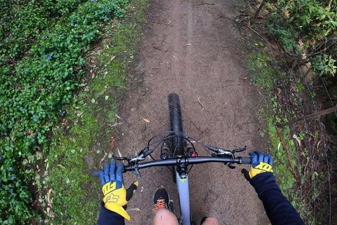 Explore Downhill Mountain In 3-Hour Bike Tour From Hobart - Kingaroy Accommodation 2