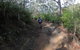 Explore Downhill Mountain In 3-Hour Bike Tour From Hobart - thumb 3