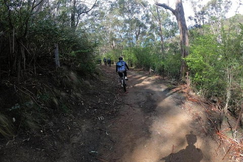 Explore Downhill Mountain In 3-Hour Bike Tour From Hobart - Kingaroy Accommodation 3