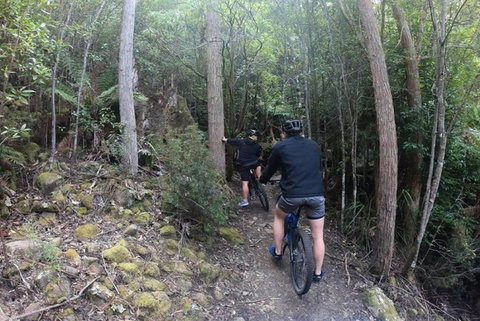 Explore Downhill Mountain In 3-Hour Bike Tour From Hobart - Kingaroy Accommodation 4