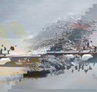 3.5 Hours Walking Tour to Cataract Gorge with Local Guide - Kingaroy Accommodation