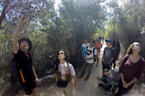 Active Day Tour One-Way From Launceston To Hobart Via Wineglass Bay - Kingaroy Accommodation 0