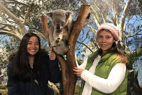 Australia Multi-City Attractions Pass - Kingaroy Accommodation 3