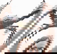 The Ultimate Gold Coast Attractions Pass - Kingaroy Accommodation