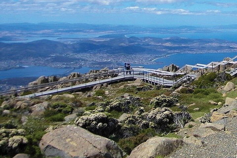 Mt Wellington Ultimate Experience Tour From Hobart - Kingaroy Accommodation 1