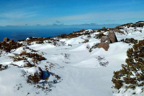 Mt Wellington Ultimate Experience Tour From Hobart - Kingaroy Accommodation 4