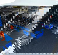 Silverswift Outer Great Barrier Reef Dive and Snorkel Cruise from Cairns - Kingaroy Accommodation