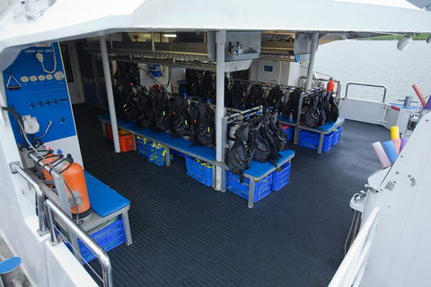 Silverswift Outer Great Barrier Reef Dive And Snorkel Cruise From Cairns - Kingaroy Accommodation 0