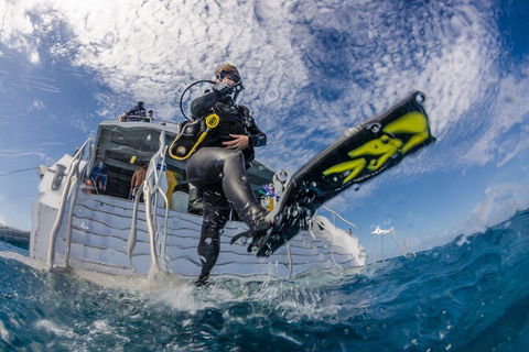 Silverswift Outer Great Barrier Reef Dive And Snorkel Cruise From Cairns - Kingaroy Accommodation 1