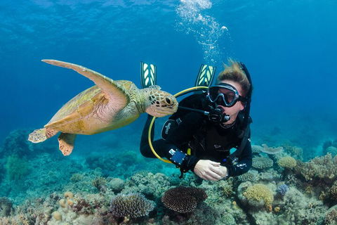 Silverswift Outer Great Barrier Reef Dive And Snorkel Cruise From Cairns - Kingaroy Accommodation 2