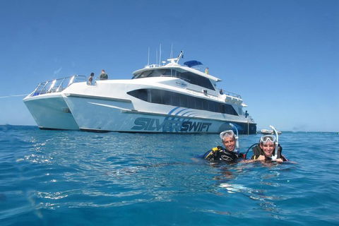 Silverswift Outer Great Barrier Reef Dive And Snorkel Cruise From Cairns - Kingaroy Accommodation 4