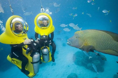 Great Barrier Reef Adventure From Cairns - Kingaroy Accommodation 2