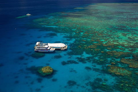 Great Barrier Reef Adventure From Cairns - Kingaroy Accommodation 4