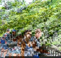 Cape Tribulation Mossman Gorge and Daintree Rainforest Day Trip from Cairns or Port Douglas - Kingaroy Accommodation