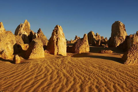 Full Day Pinnacle Desert Explorer From Perth Including Hillarys And Lancelin Sandboarding - Kingaroy Accommodation 3