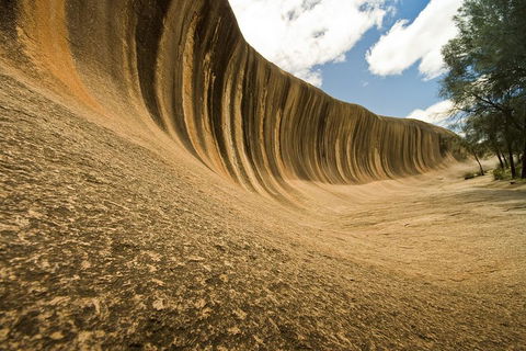 Wave Rock, York, Wildflowers, And Aboriginal Cultural Day Tour From Perth - Kingaroy Accommodation 0