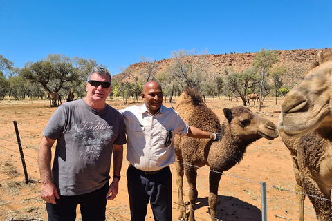 West MacDonnell Ranges Half-Day Small-Group Tour With Camel Ride - Kingaroy Accommodation 1