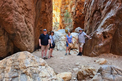 West MacDonnell Ranges Half-Day Small-Group Tour With Camel Ride - Kingaroy Accommodation 4