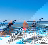 Calypso Outer Great Barrier Reef Cruise from Port Douglas - Kingaroy Accommodation