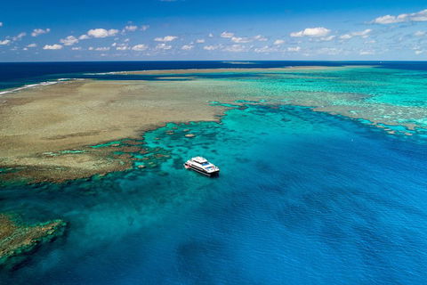 Calypso Outer Great Barrier Reef Cruise From Port Douglas - Kingaroy Accommodation 1
