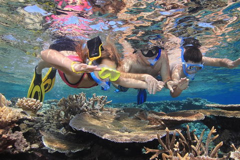 Calypso Outer Great Barrier Reef Cruise From Port Douglas - Kingaroy Accommodation 3