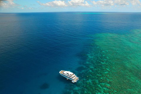 Great Barrier Reef Snorkeling And Diving Cruise From Cairns - Kingaroy Accommodation 4