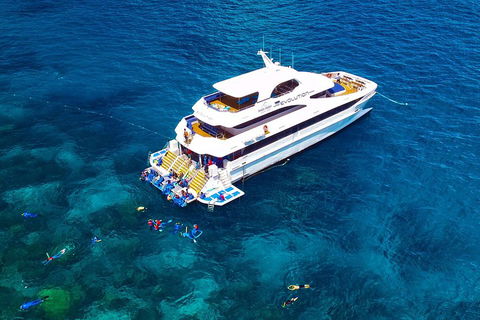 Great Barrier Reef Snorkeling And Diving Cruise From Cairns - Kingaroy Accommodation 5