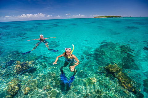 Fly To Green Island - Cruise Return - Kingaroy Accommodation 4