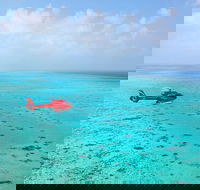 Port Douglas Scenic Flights - Kingaroy Accommodation