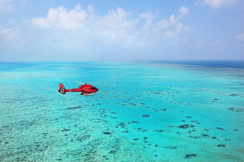 Great Barrier Reef 30-Minute Scenic Helicopter Tour From Cairns - Kingaroy Accommodation 2