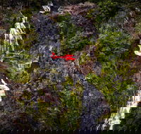 Ultimate Great Barrier Reef and Rainforest 45-minute Helicopter Tour - Kingaroy Accommodation