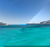 Rottnest Island Bayseeker Day Trip from Perth - Kingaroy Accommodation