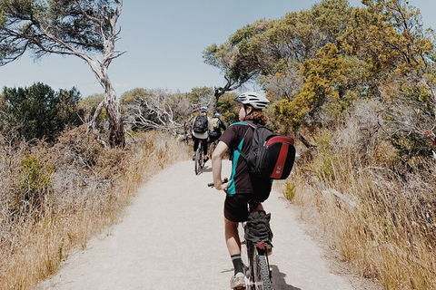 Self-Guided Point Nepean National Park Bike Hire - Kingaroy Accommodation 0