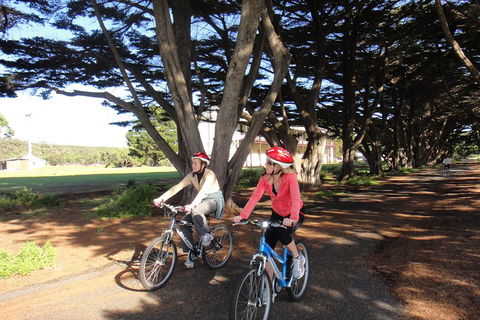Self-Guided Point Nepean National Park Bike Hire - Kingaroy Accommodation 2