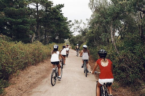 Self-Guided Point Nepean National Park Bike Hire - Kingaroy Accommodation 3