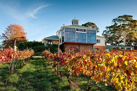 Adelaide Hills Food, Wine, Cheese, & Chocolate - Private Day Tour - Kingaroy Accommodation 3