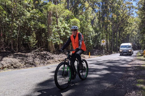 Mount Wellington Descent Cycling Tour Departs Hobart - Kingaroy Accommodation 3