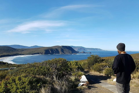 Small-Group Day Trip From Hobart To Bruny Island - Kingaroy Accommodation 0
