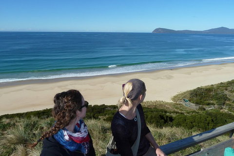 Small-Group Day Trip From Hobart To Bruny Island - Kingaroy Accommodation 3