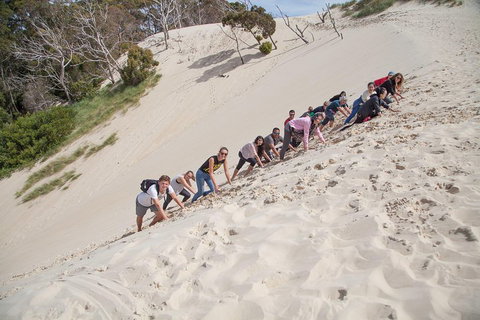 6-Day Tasmanian Explorer Adventure Tour From Hobart - Kingaroy Accommodation 2