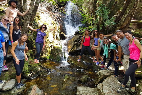 7-Day Super Value Tour Of Tasmania: Explore Tasmania's West And East Coasts - Kingaroy Accommodation 2